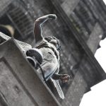 ¿Qué hacer un domingo en Puebla?