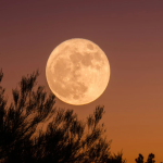 La Luna de Esturión de agosto 2025 ilumina el cielo la madrugada del 9 de agosto. Descubre horarios, consejos para observarla, su origen y eventos astronómicos relacionados.