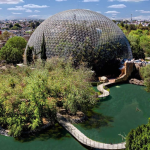 Descubre el Parque Ecológico de Puebla: naturaleza, deporte, Arboterra, lagos y espacios gratuitos. Horarios, costos, actividades y todo lo que necesitas para planear tu visita.