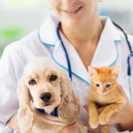 veterinarias en Puebla 24 horas
