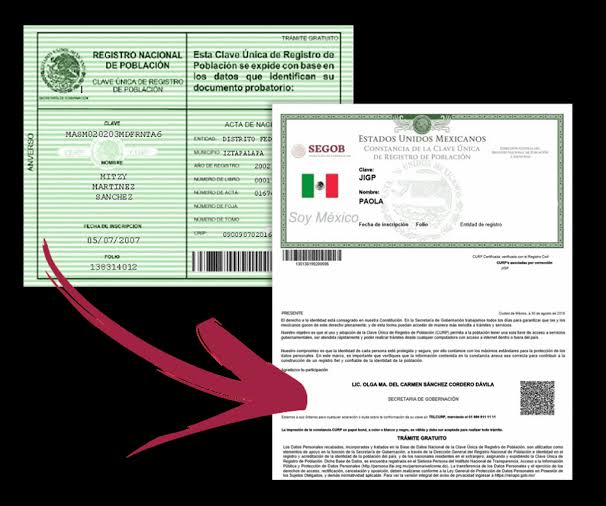 CURP certificada gratis paso a paso
